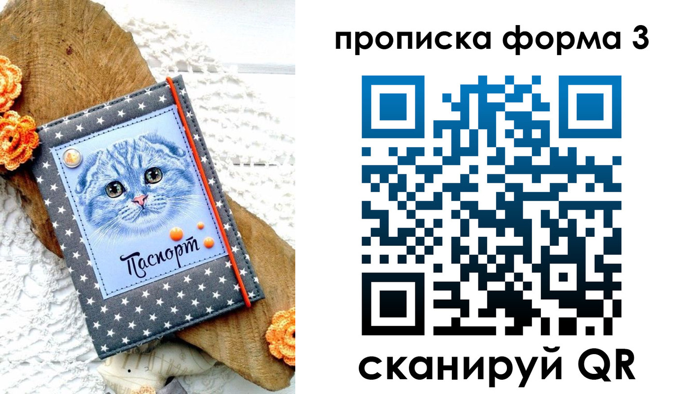 прописка поиск в Киселёвске